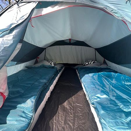 The Esn Kingsday Campsite 阿姆斯特丹 外观 照片
