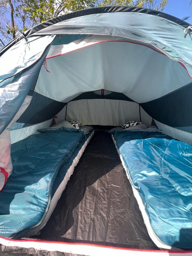 The Esn Kingsday Campsite 阿姆斯特丹 外观 照片