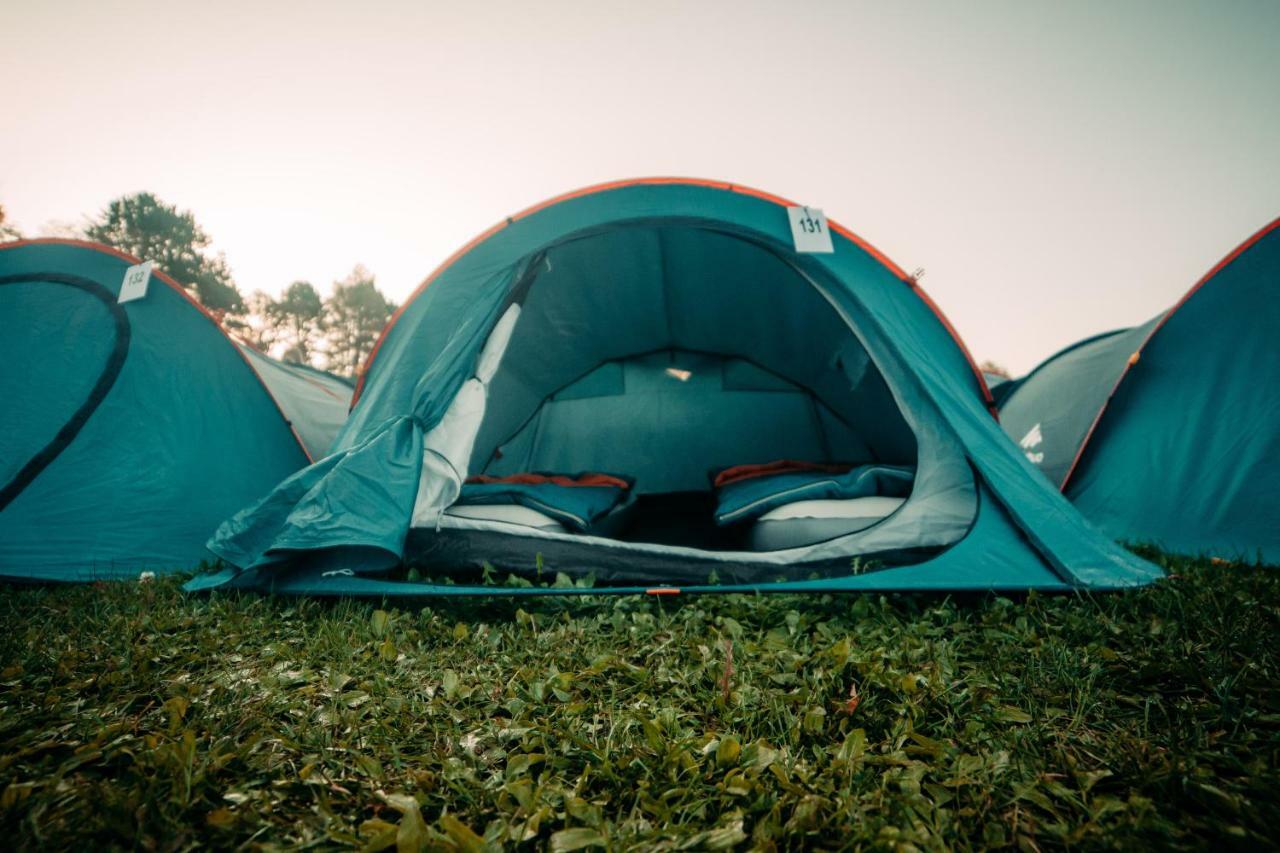 The Esn Kingsday Campsite 阿姆斯特丹 外观 照片
