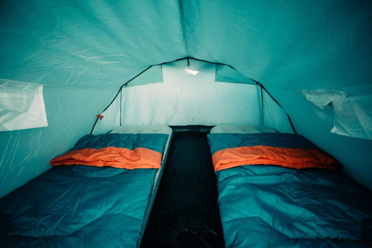 The Esn Kingsday Campsite 阿姆斯特丹 外观 照片